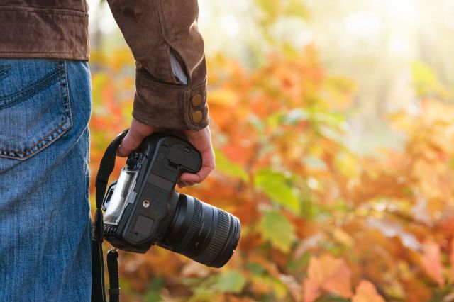 Artistes, photographes amateurs bienvenus !!