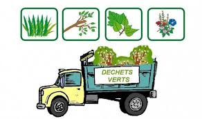 Brûlage des déchets verts