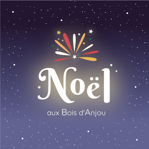 NOËL AUX BOIS D'ANJOU 2023