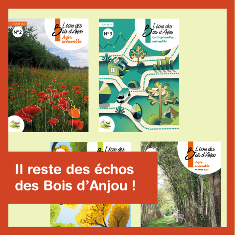 IL RESTE DES ÉCHOS DES BOIS D'ANJOU