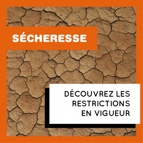 SÉCHERESSE : LES RESTRICTIONS EN VIGUEUR