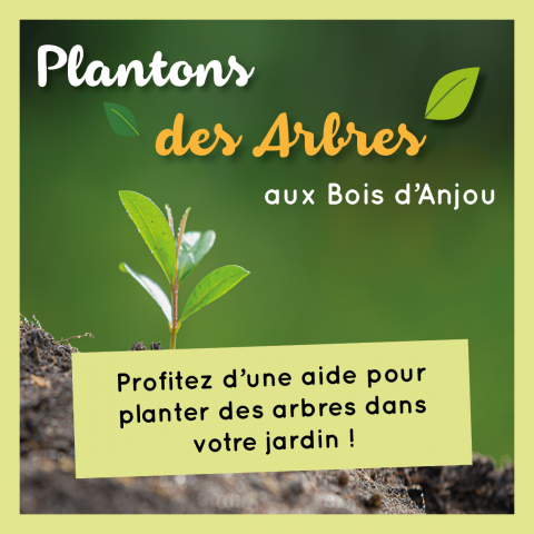 Opération Plantons des arbres aux Bois d'Anjou