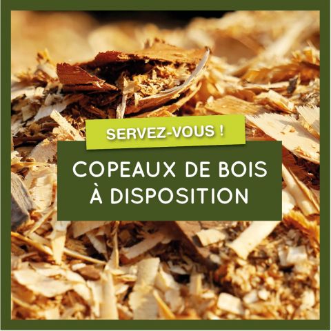 Copeaux de bois à disposition des habitants