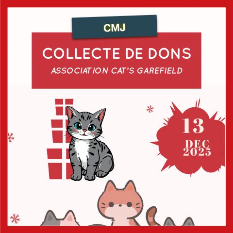 Le CMJ lance un appel aux dons pour les chats
