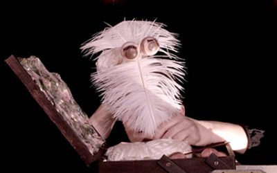 En savoir plus sur Le Mini-Dancing à Coquille – Festi&rsquo;pousses