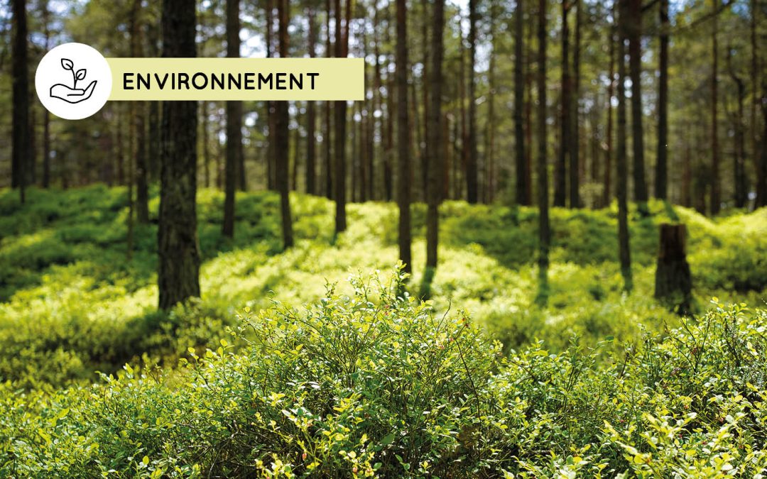 Des formations pour être acteur de votre forêt