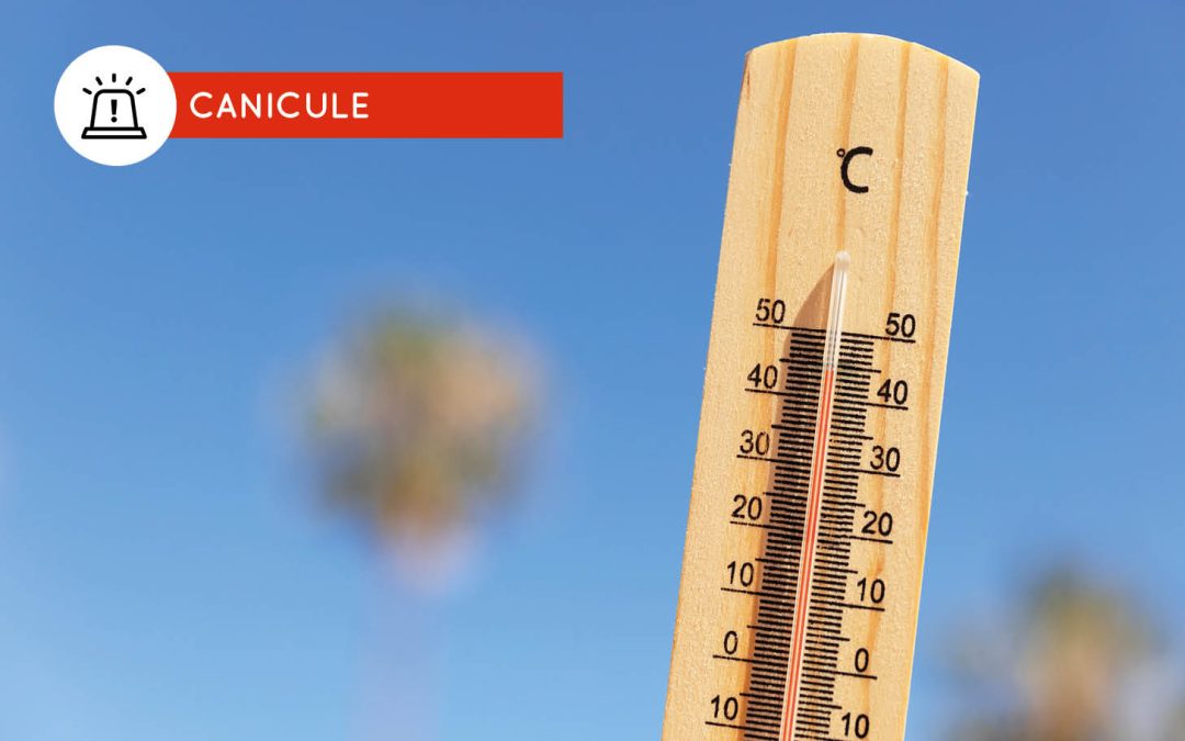 Vigilance météo canicule : Passage au niveau rouge