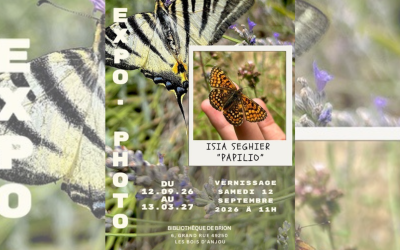 En savoir plus sur Expo photo « Papilio »